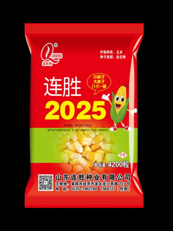 连胜2025视频